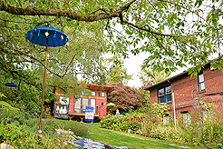 DAYLIGHT, DARK NIGHT AND BLUE SKIES WITH PAPA BUENO